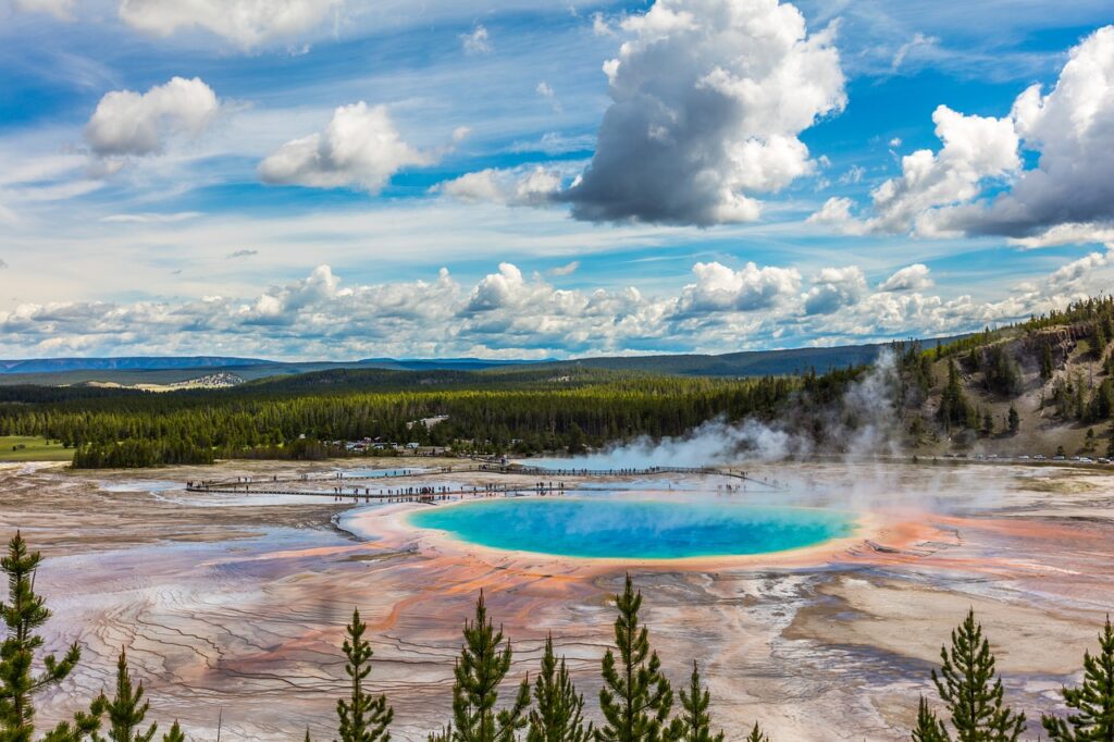 yellowstone morning glory pool and treeline