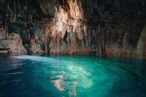 Cleaning the Planet: Natural Water Filtration 